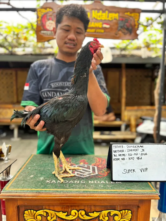 DONGKRAK JR 452 — foto 1