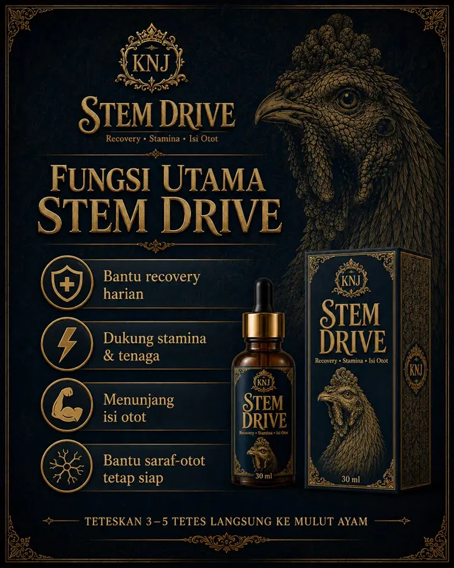 Stem Drive — 2